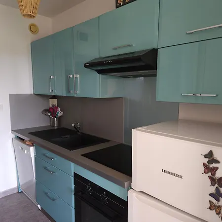 La Louisiane 2 Pieces Rez-de-jardin Piscine