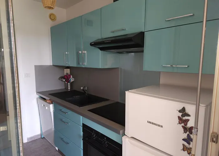 La Louisiane 2 Pieces Rez-de-jardin Piscine